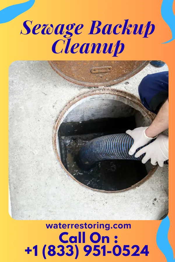 Sewage Backup Cleanup in Harlan, IA