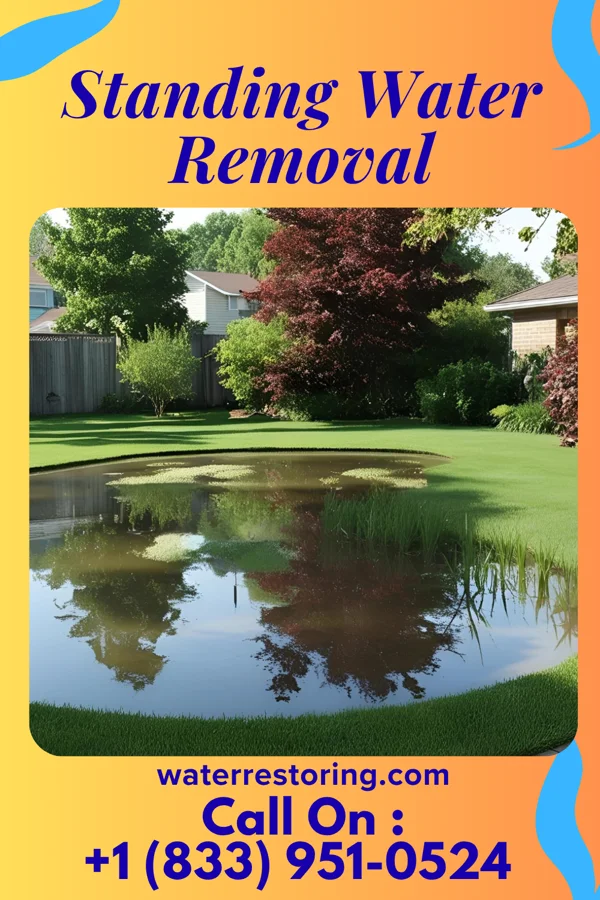 Standing Water Removal in Harlan, IA